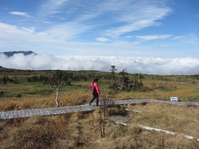 立山彌陀遊步道雲海