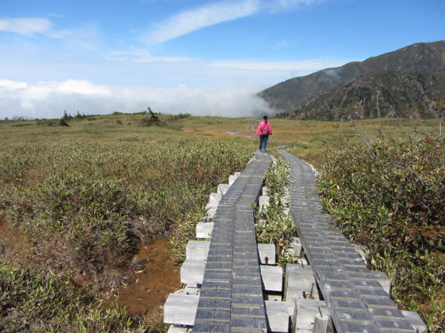 立山彌陀原健行木道: B-Cガキの田段