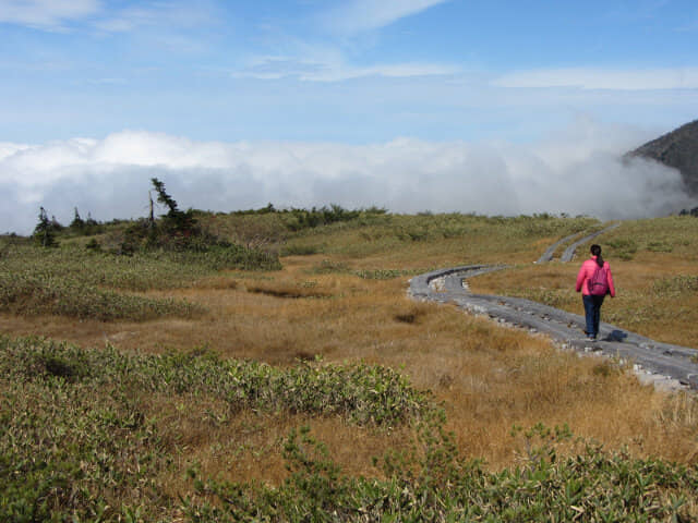 立山彌陀原遊步道雲海