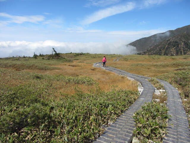 立山彌陀原遊步道雲海