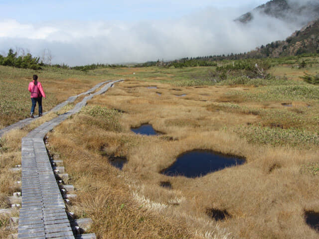 立山彌陀原 がきの田