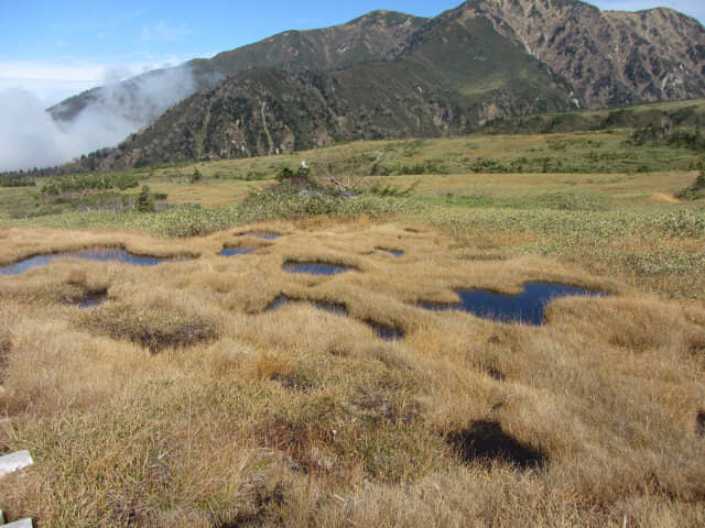 立山彌陀原 がきの田