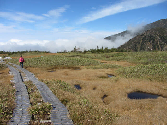 立山彌陀原遊步道 がきの田