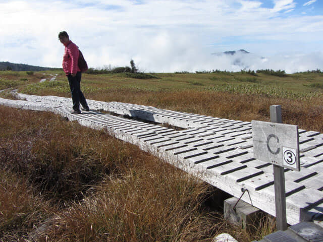 立山彌陀原健行木步道 追分．一の谷分岐點 C