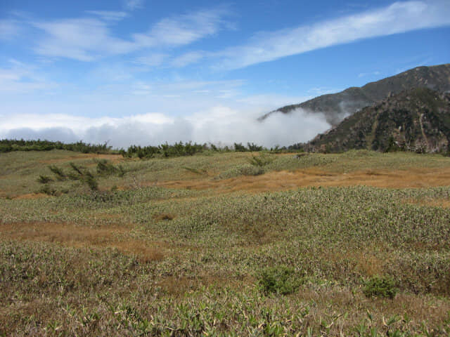 立山彌陀原雲海