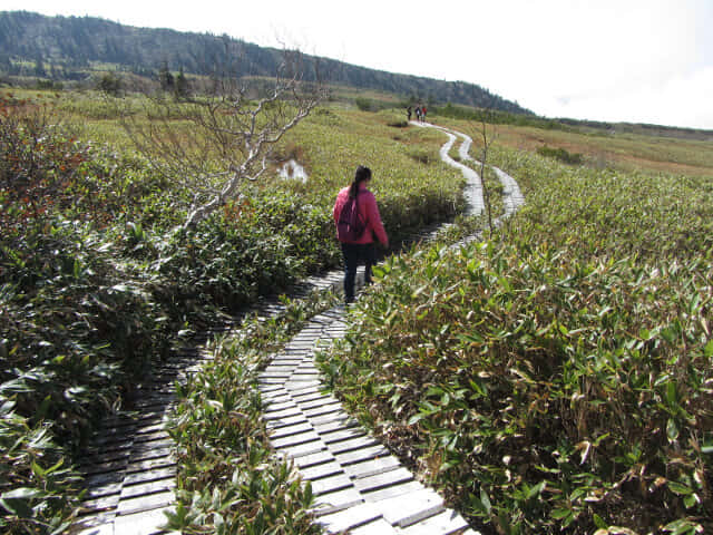 立山彌陀原健行木道: C-D至追分段