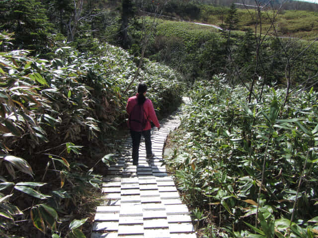 立山彌陀原遊步道: C-D至追分段