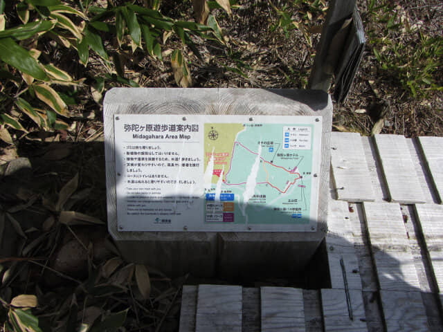 立山彌陀原健行木步道 分岐點 D 地圖