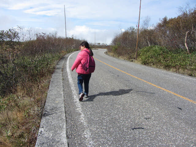 立山彌陀原 高原巴士道路