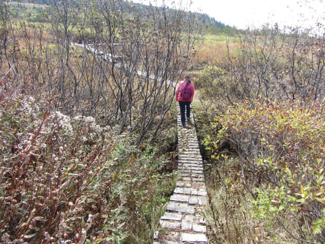 立山弘法・追分コース健行道