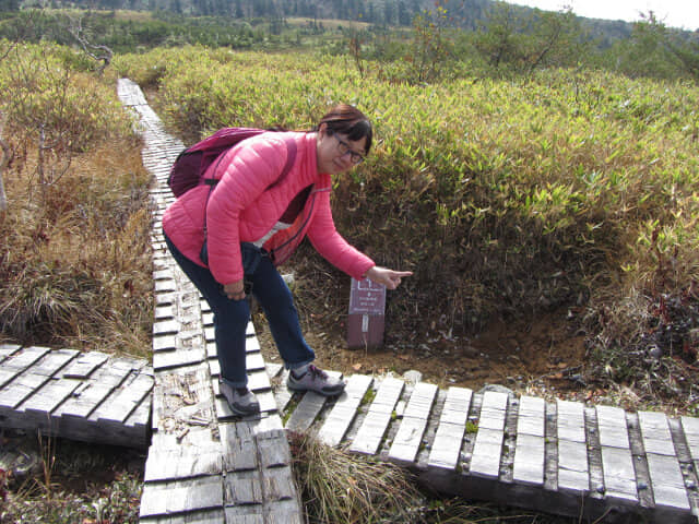 立山弘法・追分コース健行道 松尾峠分岐