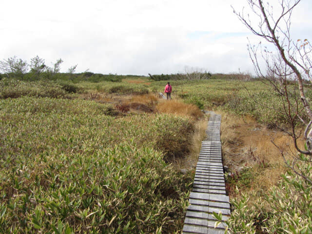 立山弘法・追分コース健行道