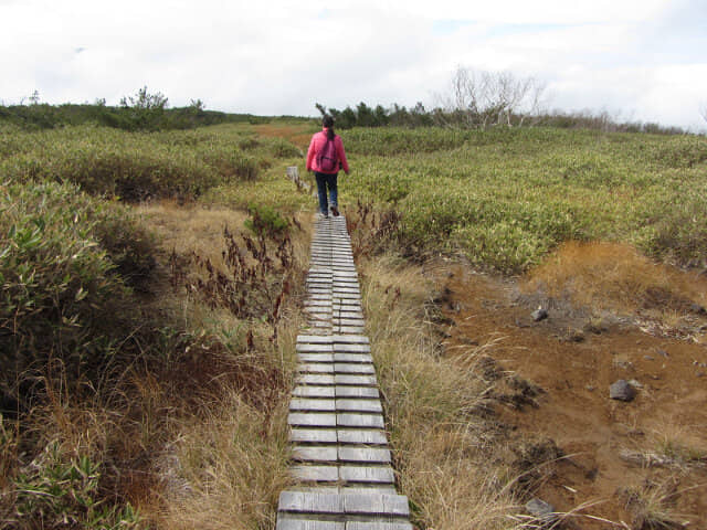 立山弘法・追分コース健行道