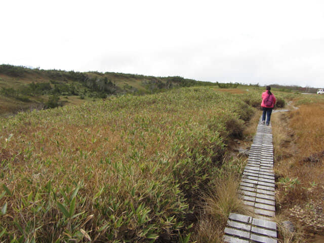 立山弘法・追分コース健行道