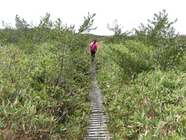 立山弘法・追分コース健行道