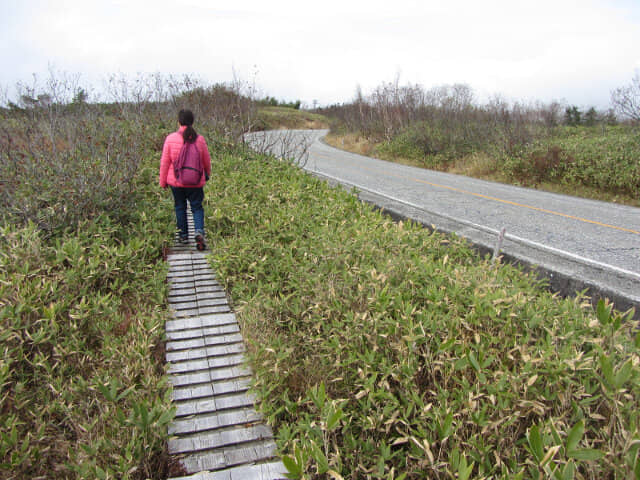 立山弘法・追分コース健行道