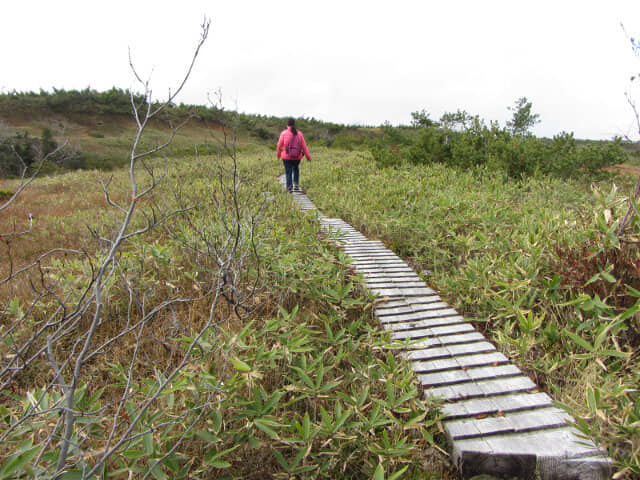 立山弘法・追分コース健行道