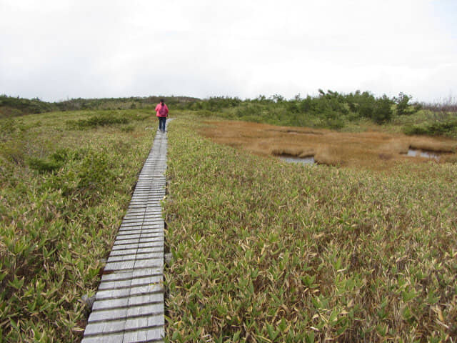 立山弘法・追分コース健行道