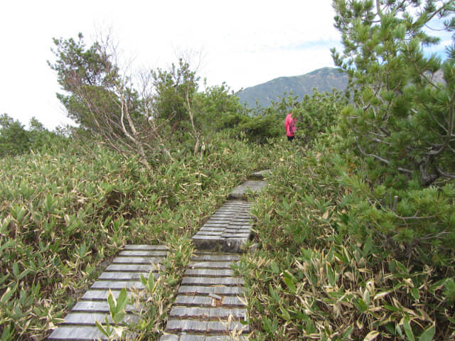 立山弘法・追分コース健行道