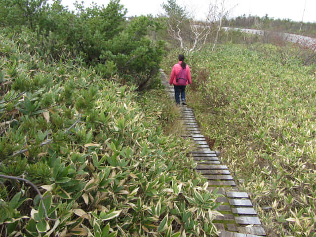 立山弘法・追分コース健行道