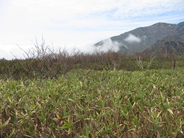 立山弘法・追分コース健行道