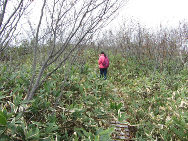 立山弘法・追分コース遊步道