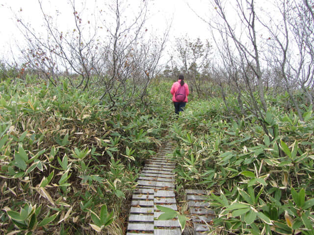 立山弘法・追分コース遊步道