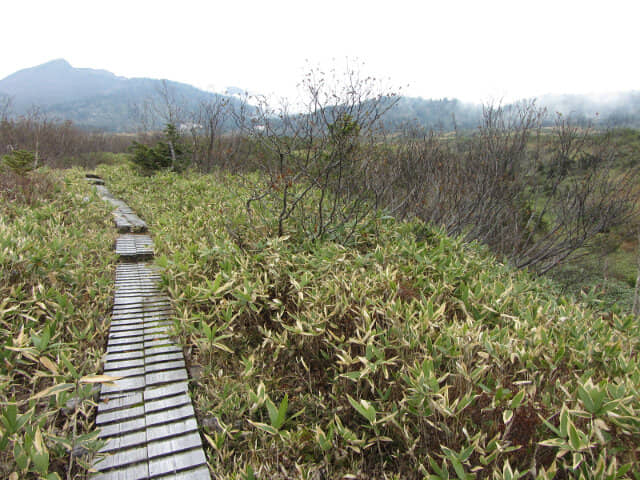 立山弘法・追分コース遊步道