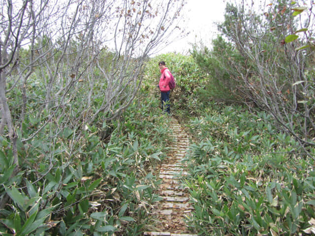 立山弘法・追分コース遊步道