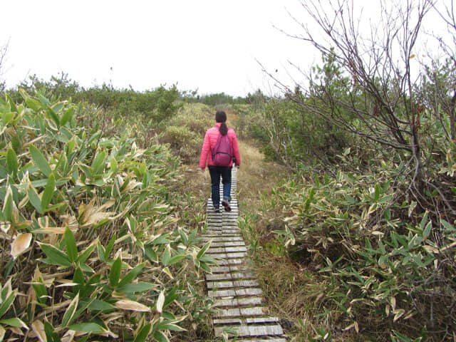 立山弘法・追分コース遊步道