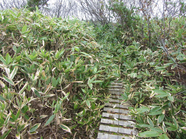 立山弘法・追分コース遊步道