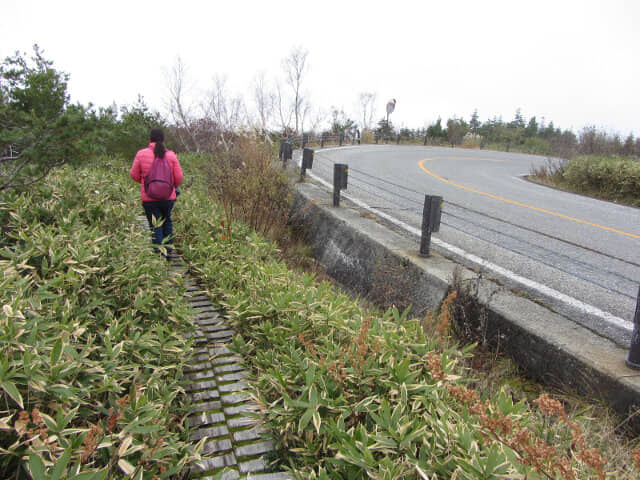 立山高原九曲道路