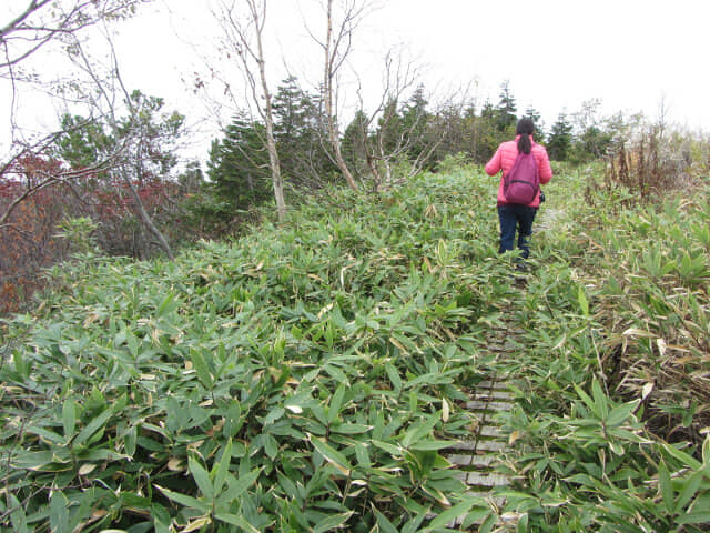 立山弘法・追分コース遊步道