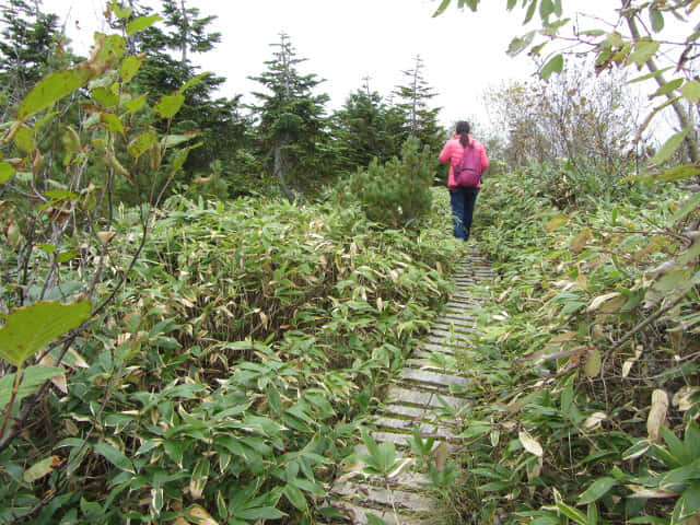 立山弘法・追分コース遊步道