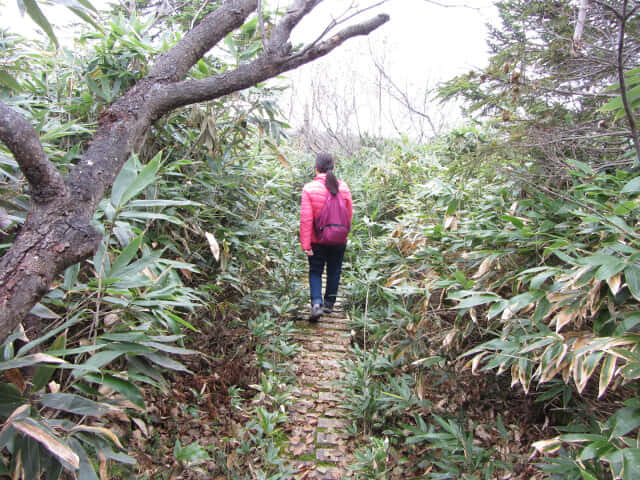 立山弘法・追分コース遊步道