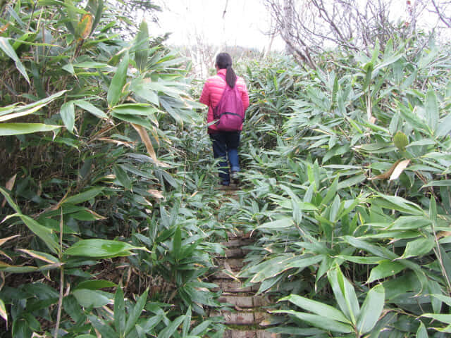 立山弘法・追分コース遊步道