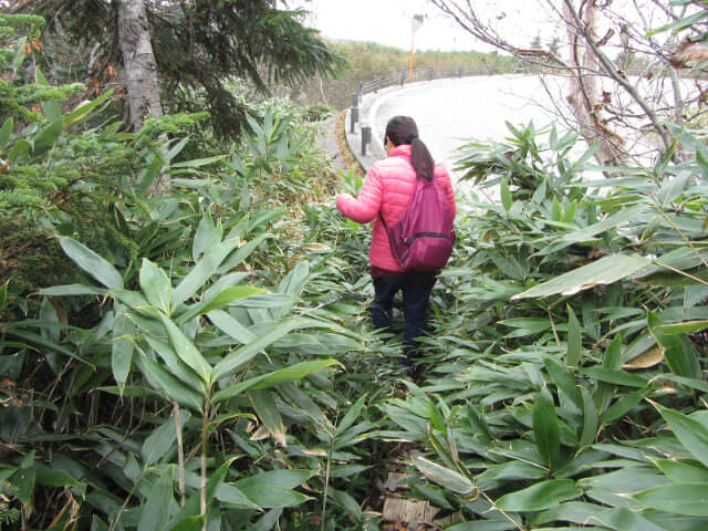 立山弘法・追分コース遊步道