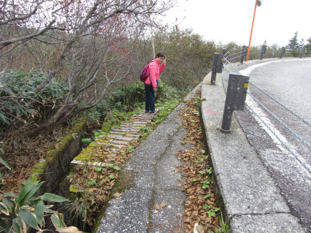 立山弘法・追分コース遊步道 立山高原馬路段