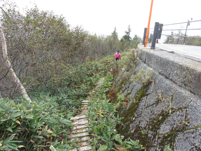 立山弘法・追分コース遊步道