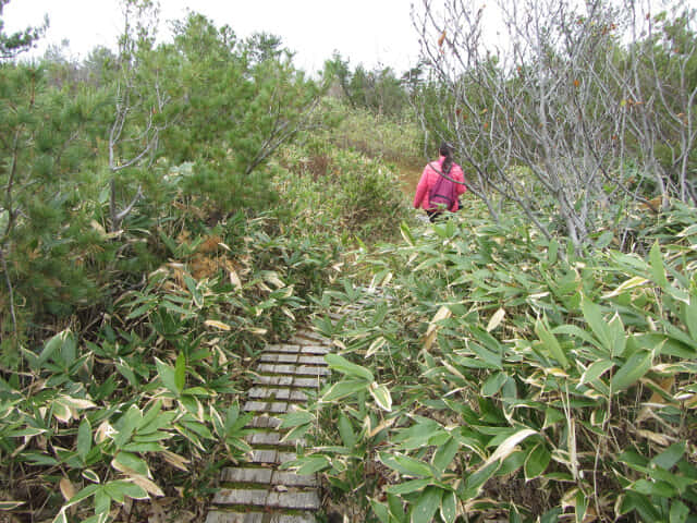 立山 弘法・追分コース 健行遊步道