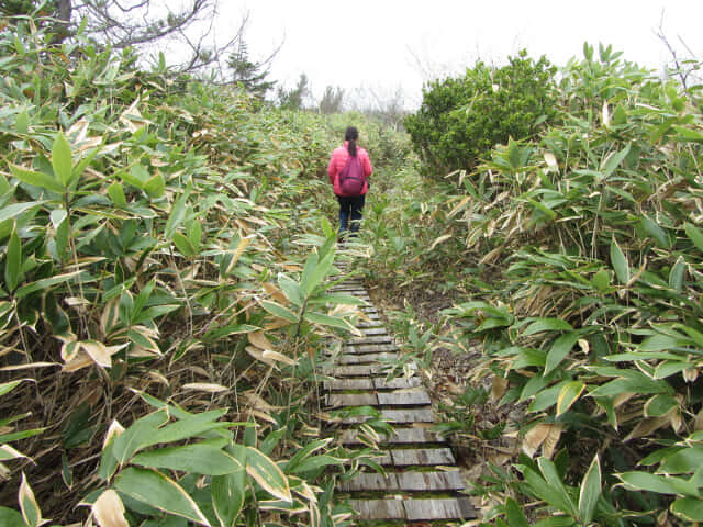 立山 弘法・追分コース 健行遊步道