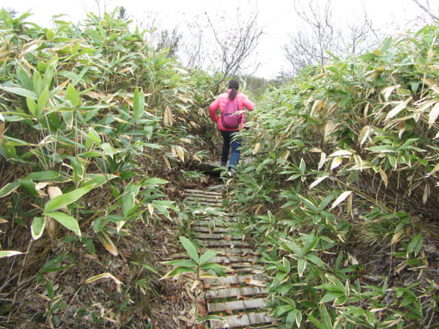 立山 弘法・追分コース 健行遊步道