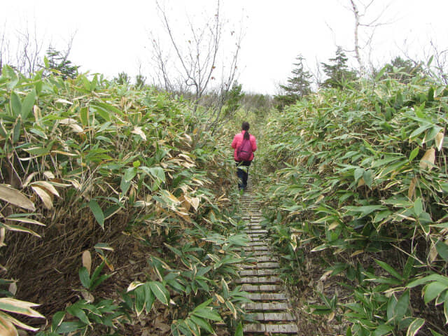 立山 弘法・追分コース 健行遊步道