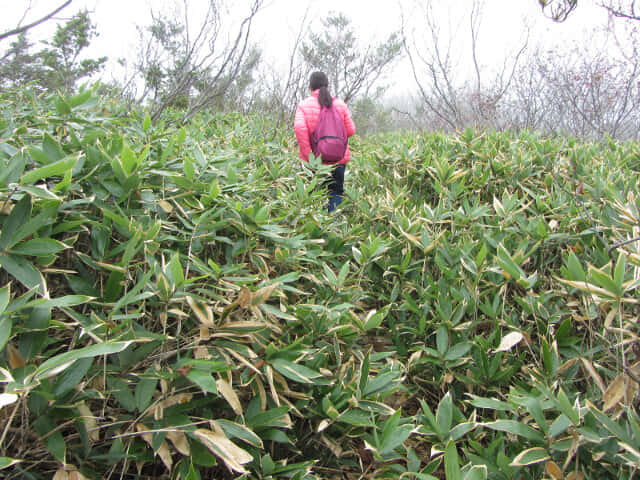 立山 弘法・追分コース 健行遊步道