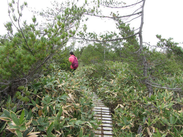 立山 弘法・追分コース 健行遊步道