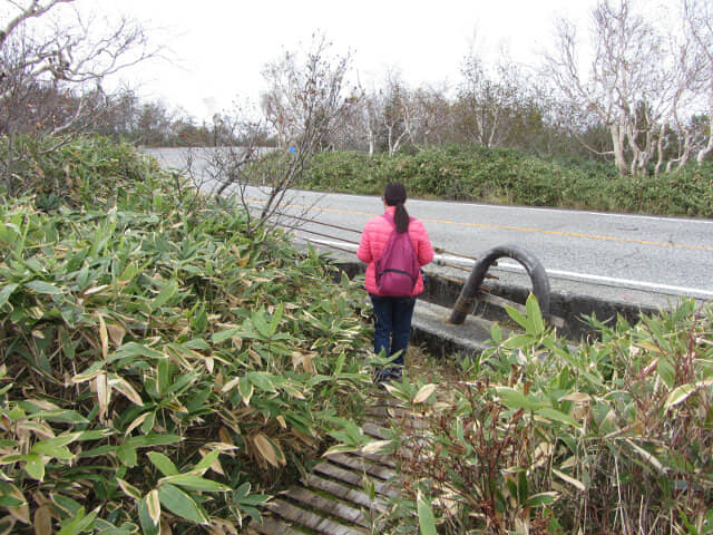 立山七曲 立山高原九曲道路