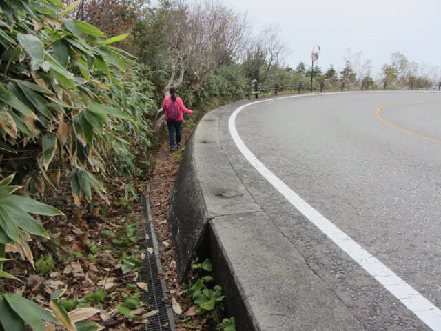 立山高原馬路七曲段