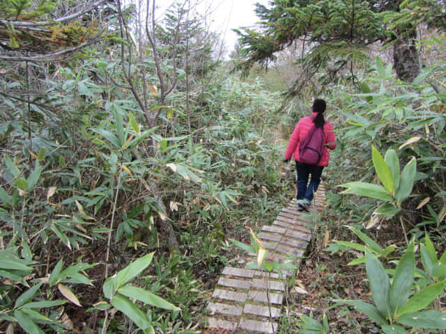 立山七曲．弘法健行遊步道