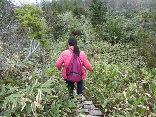 立山七曲．弘法健行遊步道