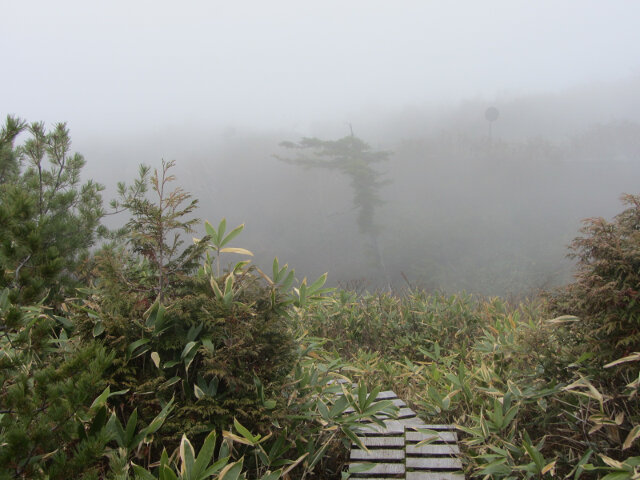 立山七曲．弘法健行遊步道